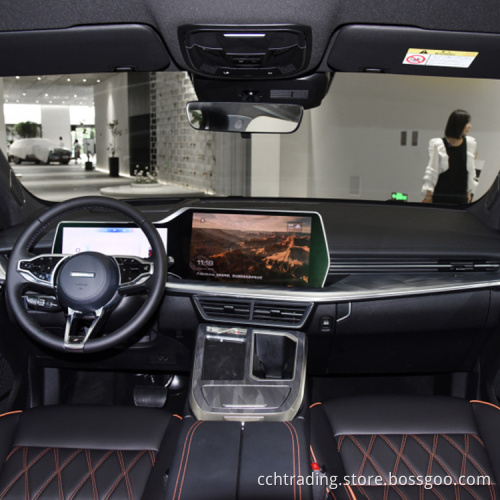 Haval Beast 5 Passenger Auto chiusa a buon mercato